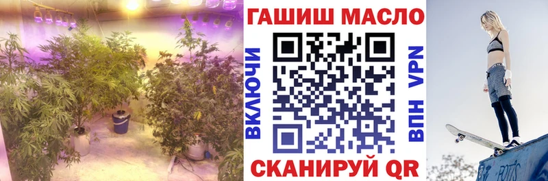 kraken маркетплейс  Апрелевка  ТГК Wax 